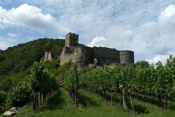 3-Hour Private Hiking Tour to historic places around Spitz in Wachau Valley - A circular route through vineyards and fruit trees