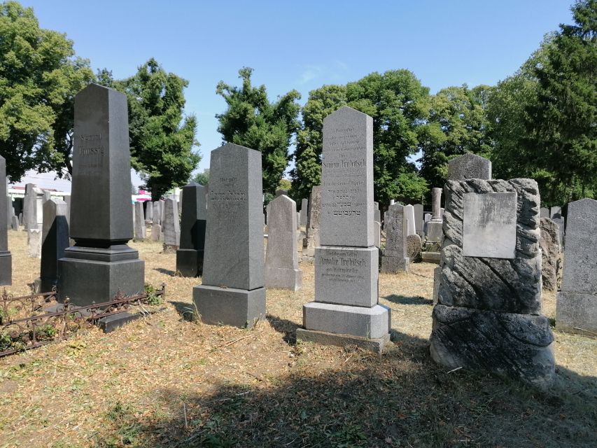 3-Hour Walking Tour of Vienna Central Cemetery - Famous graves and the art of remembrance