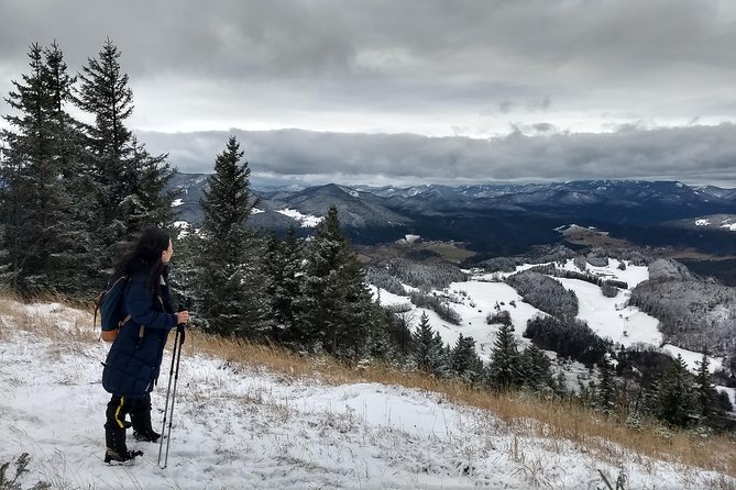 4-Hour Private Alpine Great George at High Wall Mountain from Vienna - Key points to know before you book