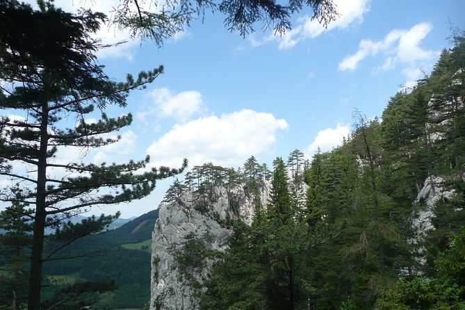 4-Hour Private Alpine Great George at High Wall Mountain from Vienna - The rear wall, where the crowds thin out