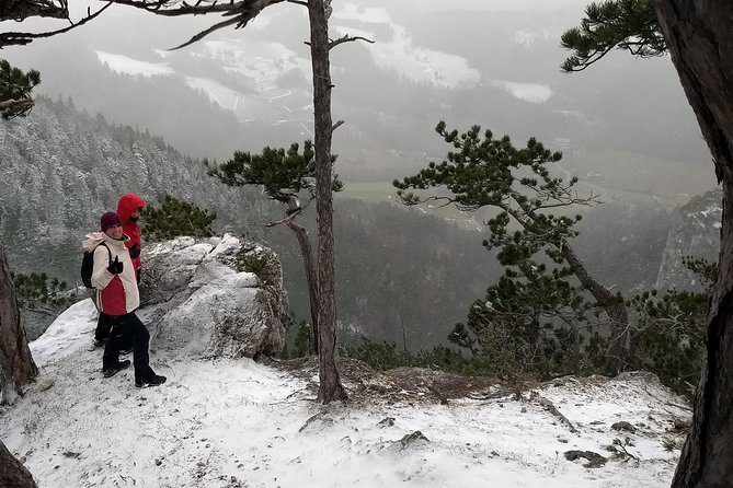 4-Hour Private Alpine Great George at High Wall Mountain from Vienna - Who should book this Hohe Wand hike?
