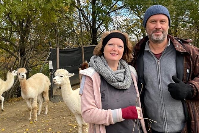 Alpaca and llama hike Moedling near Vienna - Starting in Mödling, just outside Vienna