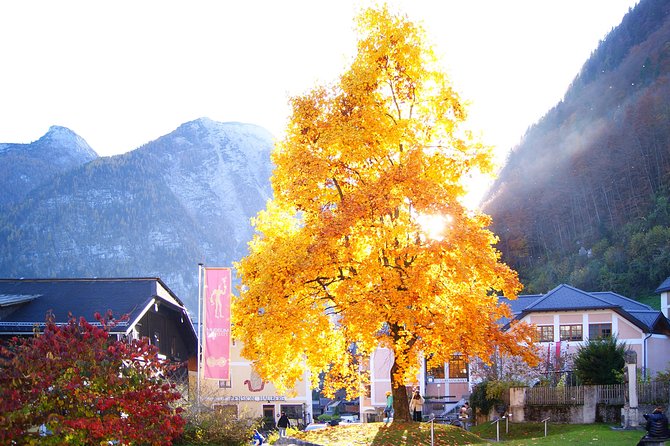 Alpine Hallstatt Day Trip from Vienna incl. Admont Abbey Visit - The return trip and final coach stop
