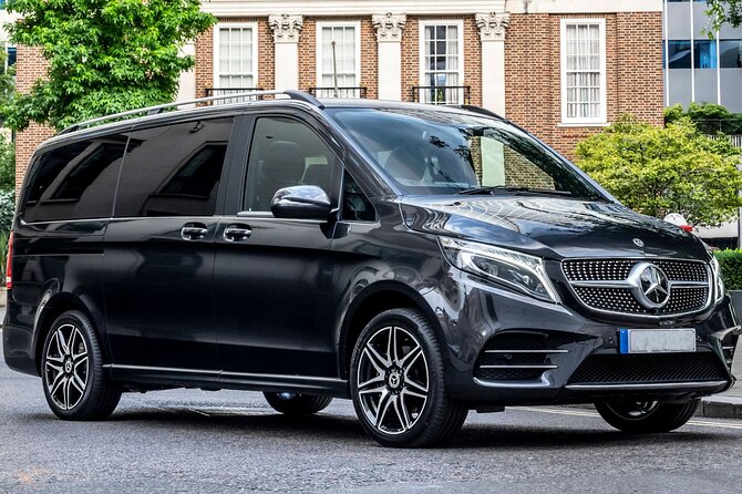 Arrival Private Transfer from Vienna Airport VIE to Vienna City by Luxury Van - Why the private format can be worth $79.80 per person