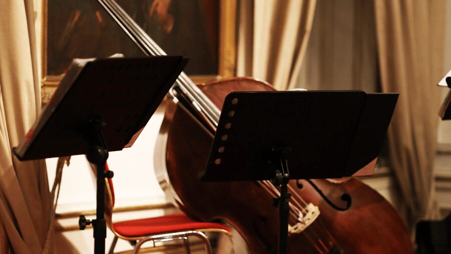 Best of Mozart & Strauss - Key points to know before booking