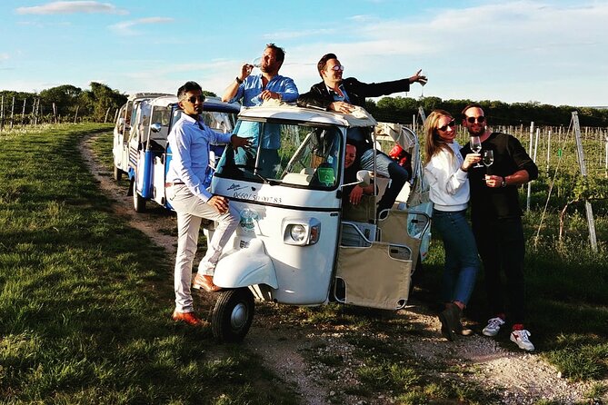 Best of Vienna Tour in TUK TUK! - Who will get the most from this tour?