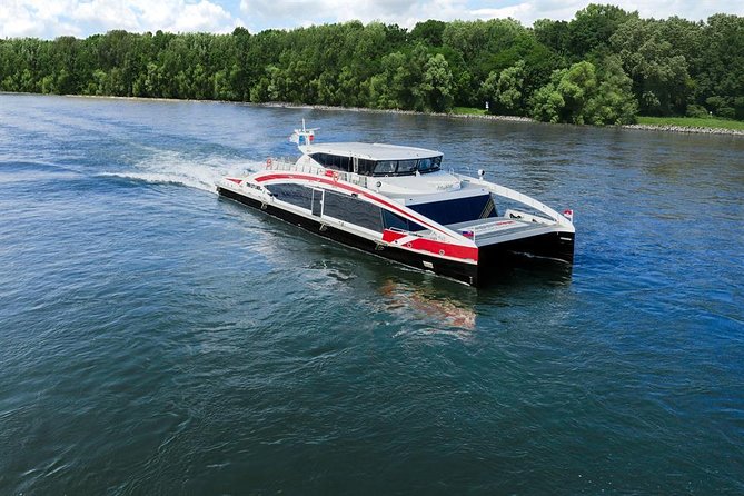 Bratislava Day Trip from Vienna With Catamaran Cruise on Danube - The Twin City Liner ride back to Vienna