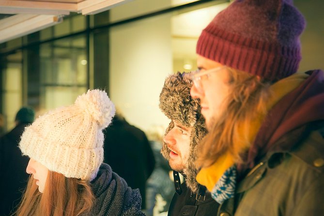 Christmas Market Vienna Tour - What kind of Vienna Christmas tour is this?