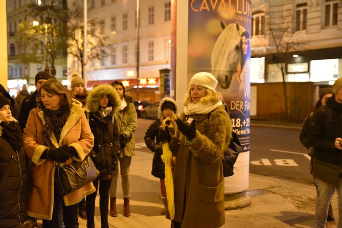 Christmas Market Vienna Tour - Walking, winter clothing, and meeting-point advice