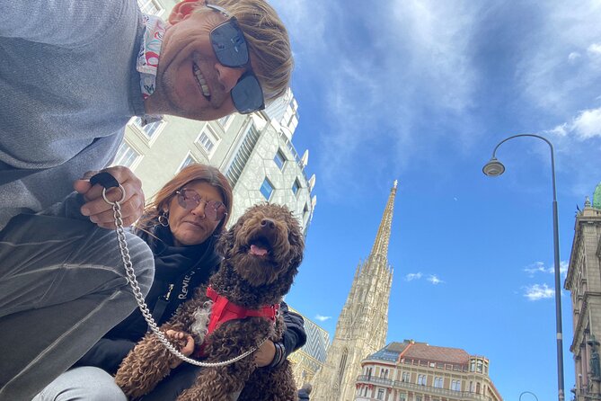 Classic Private City Tour Vienna - Along the Danube in Vienna