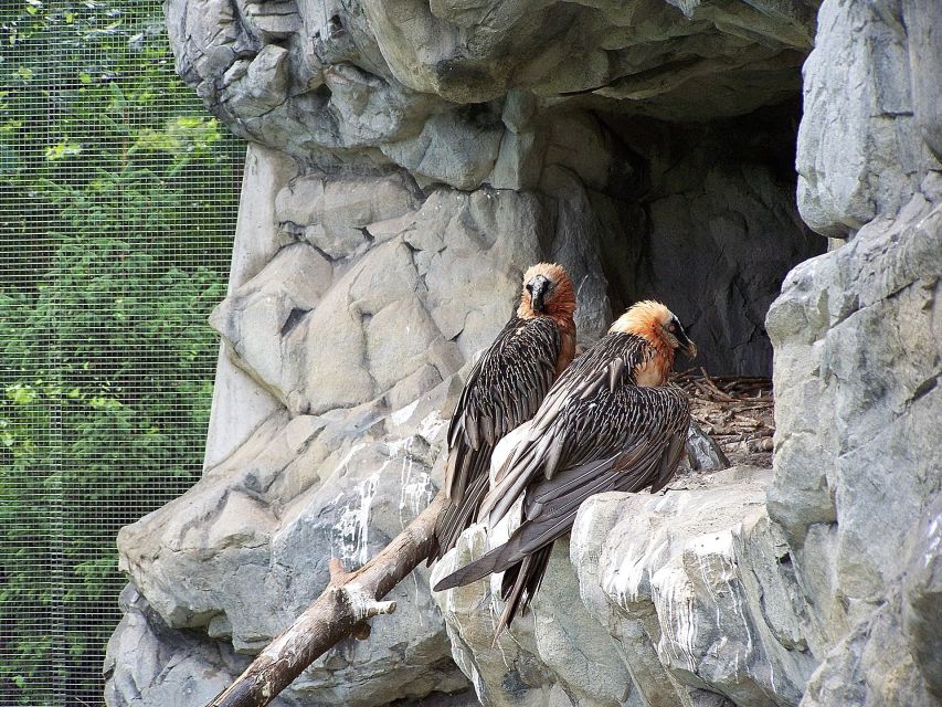Combi Entrance Ticket to Alpine Zoo and Hungerburg - Families, couples, and independent sightseers