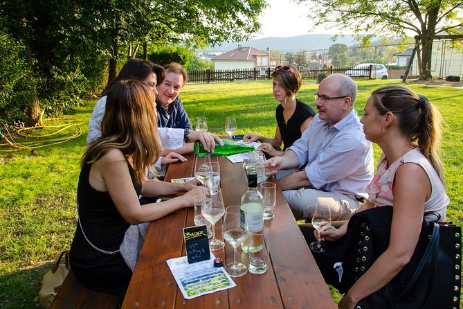 Countryside Half Day Wine Tour near Vienna - Key Things to Know Before You Book