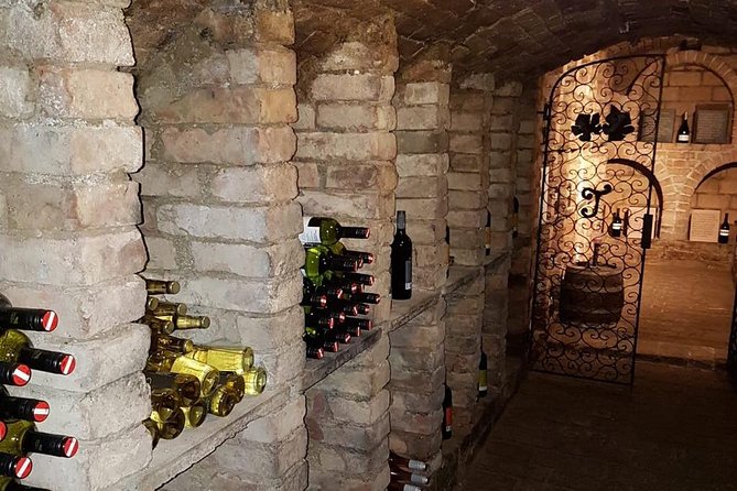 Countryside Half Day Wine Tour near Vienna - The First Winery: A More Personal Start