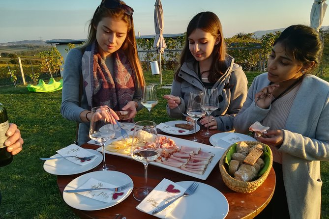 Countryside Half Day Wine Tour near Vienna - The Final Winery and Two-Course Austrian Meal