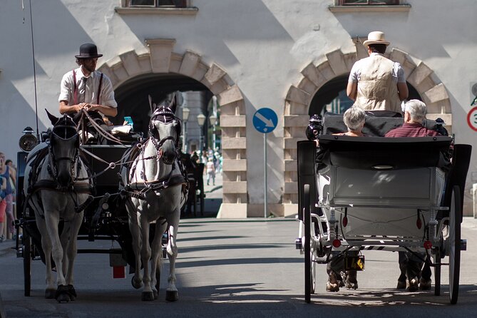 Exclusive Vienna Old Town Highlights Walking Tour (max. 6 persons) - Albertinaplatz: an easy meeting point in the city center