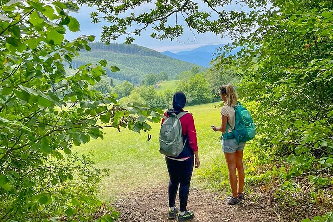 Exploring the Gutenstein Alps - Why this makes a good break from Vienna
