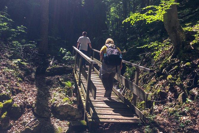 Exploring the Gutenstein Alps - Pastures, country roads, and the return route