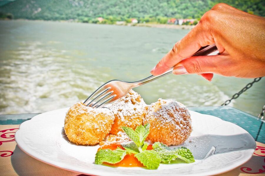 From Krems: Wachau Valley River Cruise on the Danube - Key points at a glance