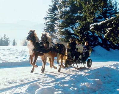 From Salzburg: 8-hour Horse-Drawn Tour w/ 2-hour Sleigh Ride - Key points to know before booking