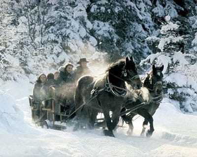 From Salzburg: 8-hour Horse-Drawn Tour w/ 2-hour Sleigh Ride - Why this Ramsau day trip works so well