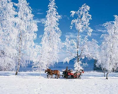 From Salzburg: 8-hour Horse-Drawn Tour w/ 2-hour Sleigh Ride - Five hours around Ramsau at more than 3,700 feet