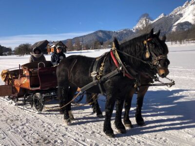 8-hour Horse-Drawn Tour w/ 2-hour Sleigh Ride