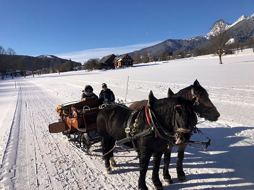 From Salzburg: 8-hour Horse-Drawn Tour w/ 2-hour Sleigh Ride - Guides, buses, and the small details that matter