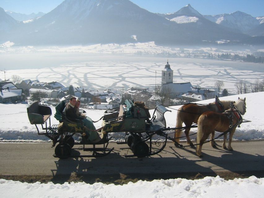 From Salzburg Romantic Carriage Ride through the Countryside - Why the horses matter to the experience