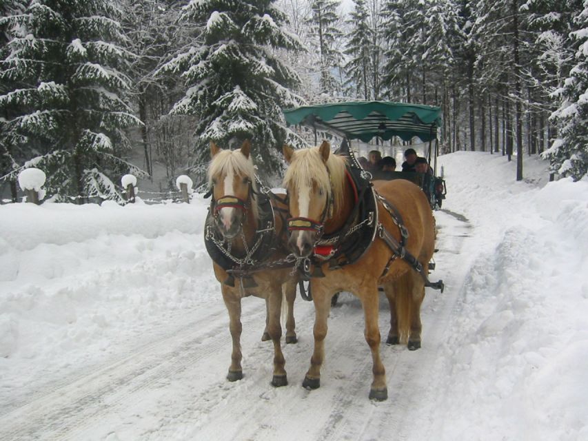 From Salzburg Romantic Carriage Ride through the Countryside - St Wolfgang and the shores of Lake Wolfgang