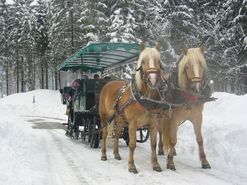 From Salzburg Romantic Carriage Ride through the Countryside - What happens when there is no snow