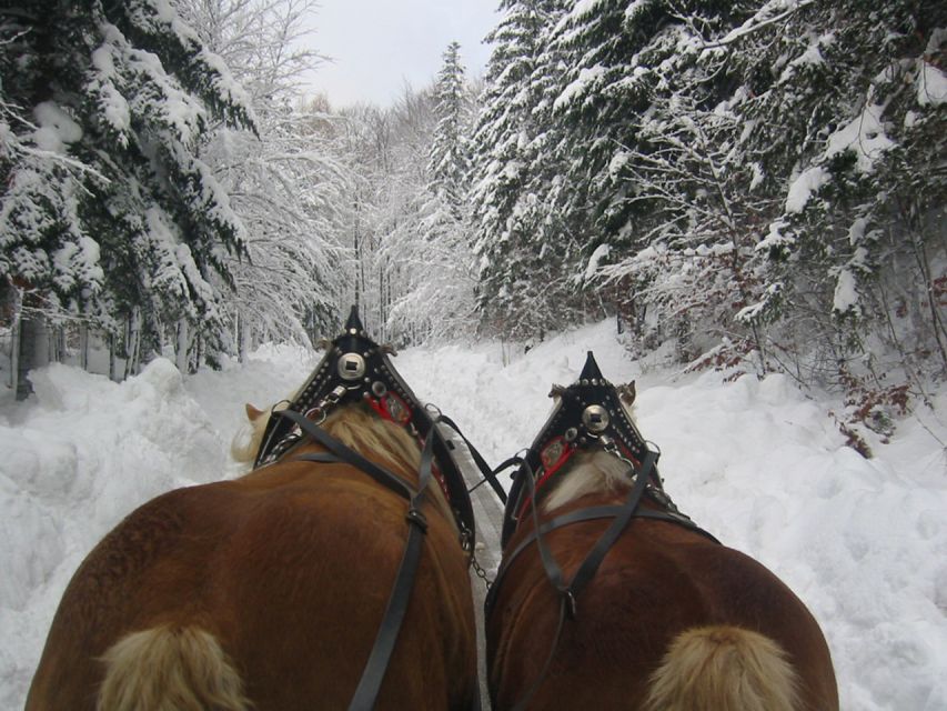 From Salzburg Romantic Carriage Ride through the Countryside - The guide can shape the whole four hours