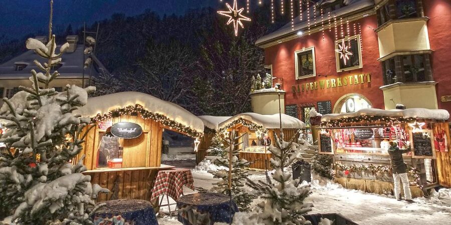 From Salzburg Romantic Carriage Ride through the Countryside - Who will enjoy this Salzburg carriage ride