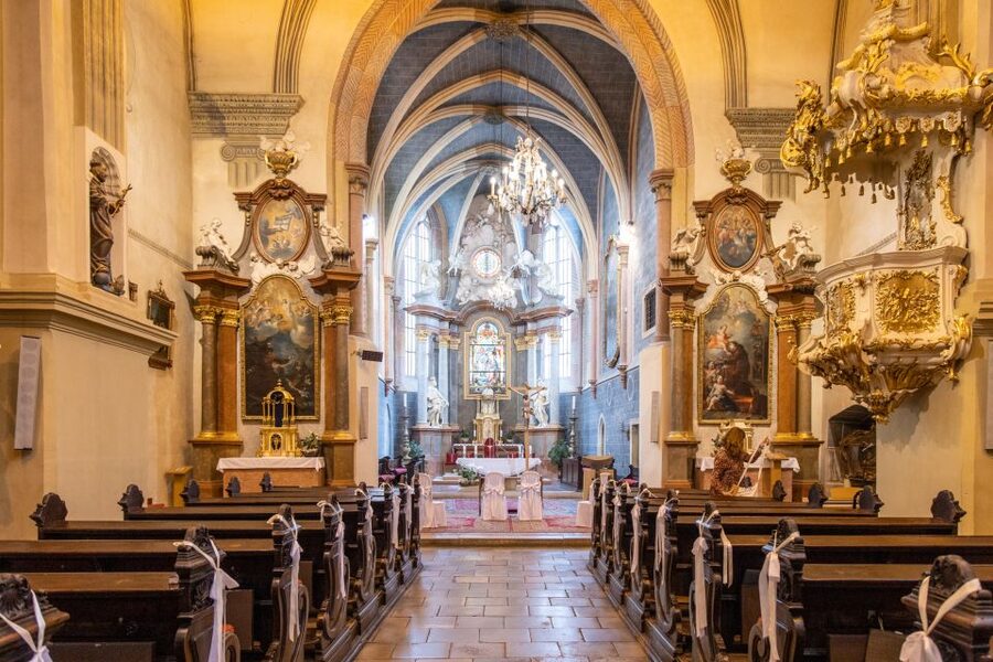 From Vienna: Bratislava Day Trip - Is $123 good value?
