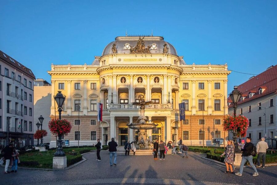 From Vienna: Bratislava with Local Guide, Castle & UFO Views - What the guide adds to the day