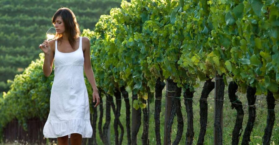From Vienna: Half-day Countryside Wine Tour with Meal - Leaving Vienna for the Weinviertel