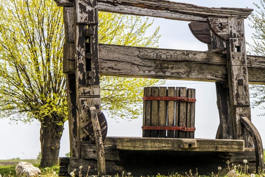 From Vienna: Half-day Countryside Wine Tour with Meal - Austrian lunch or dinner at the finish