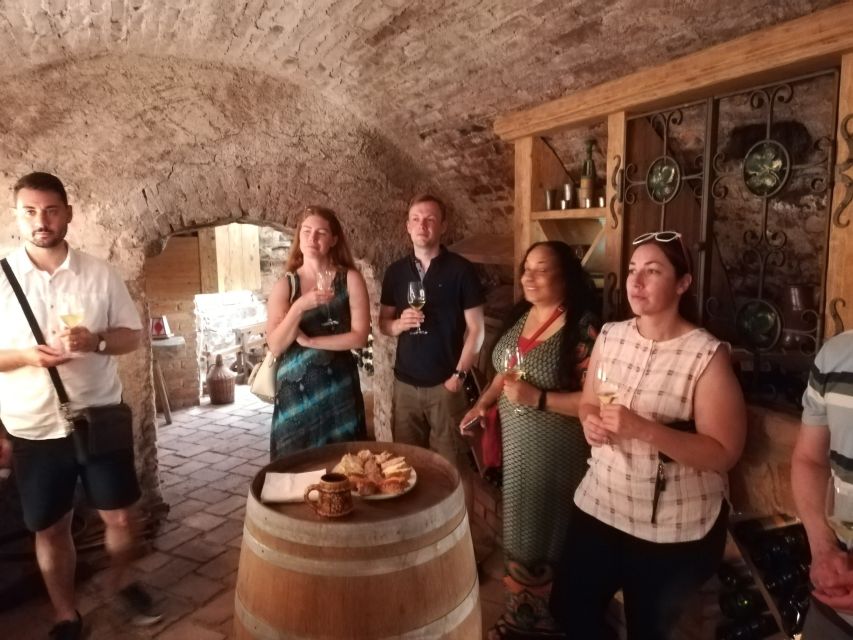 From Vienna: Half-day Countryside Wine Tour with Meal - What could disappoint you