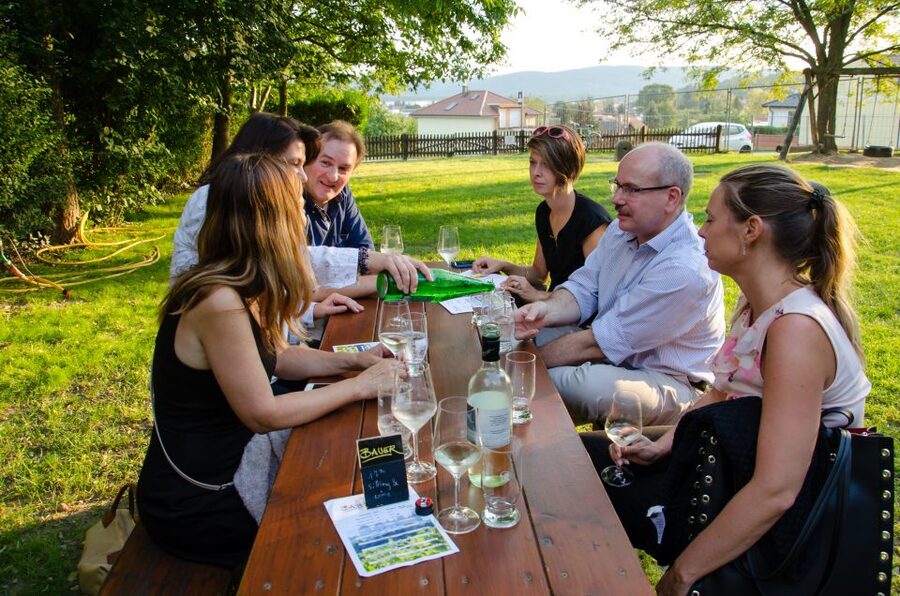 From Vienna: Half-day Countryside Wine Tour with Meal - Who should book this countryside wine tour?