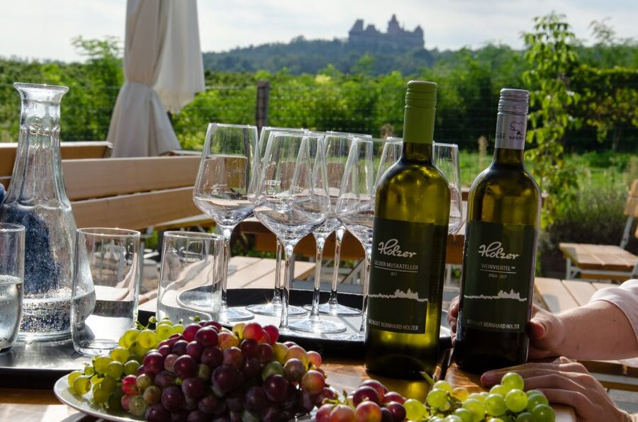 From Vienna: Half-day Countryside Wine Tour with Meal - First pours at a family cellar