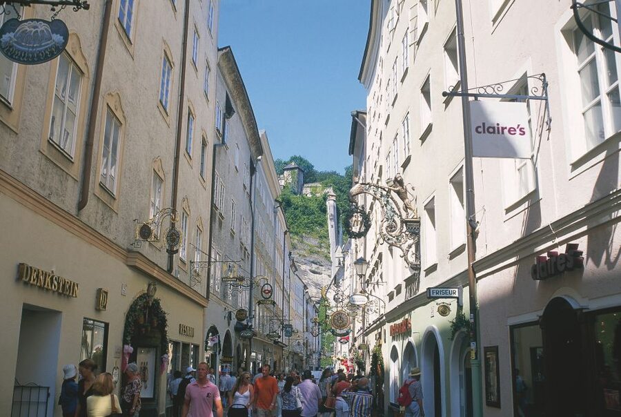 From Vienna: Salzburg and Alpine Lakes Full-Day Trip - The guide and language question