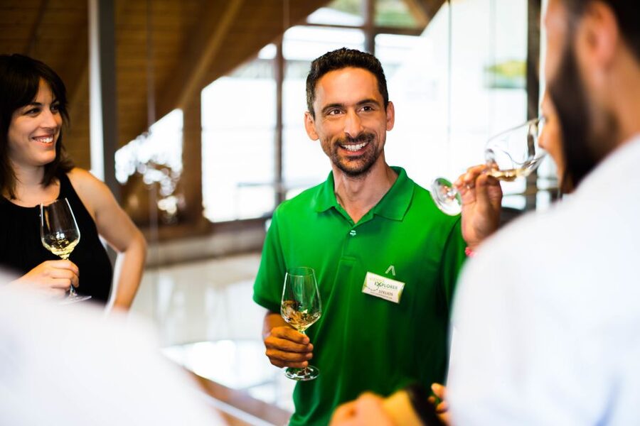 From Vienna: Wachau Valley Day Tour with Wine Tasting - The Danube cruise from Spitz toward Melk