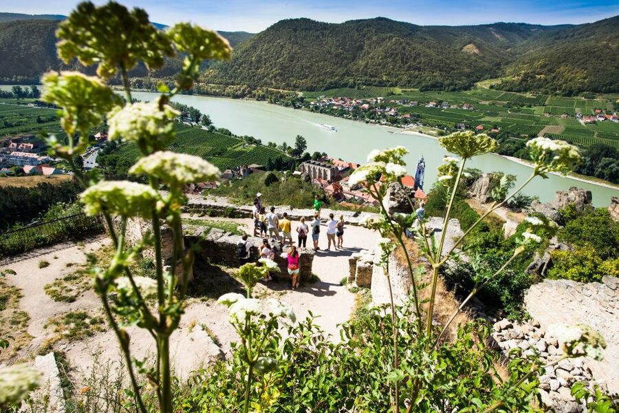 From Vienna: Wachau Valley Day Tour with Wine Tasting - Melk Abbey and the seasonal change of plans