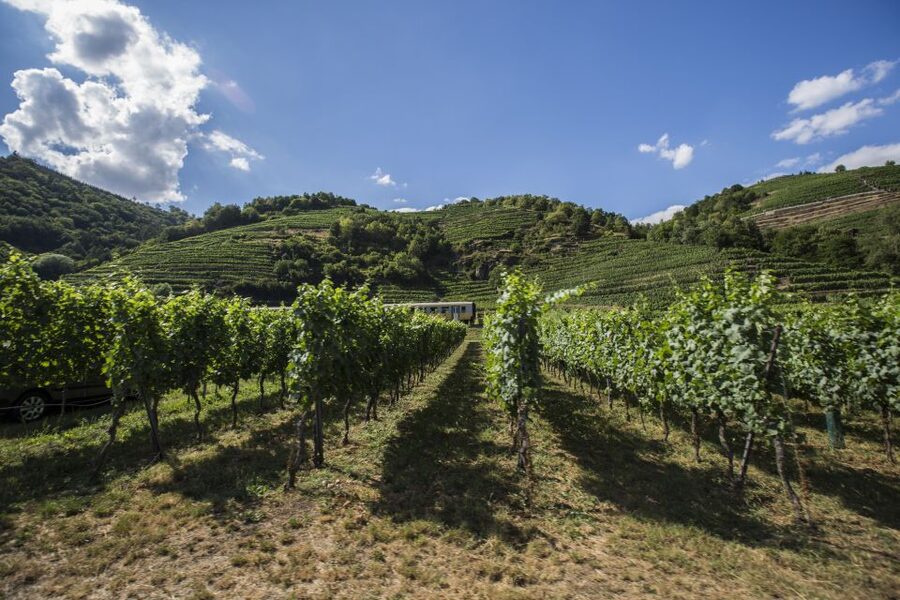 Grape Grazing: Wachau Valley Winery Biking Tour - Key things to know before you book