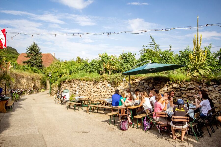 Grape Grazing: Wachau Valley Winery Biking Tour - What lunch really means here
