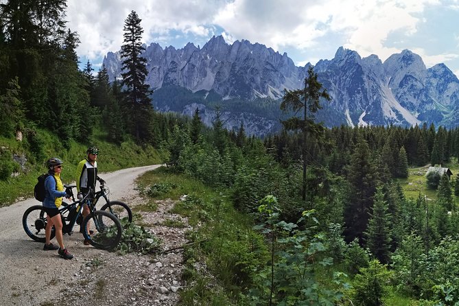 Guided e-bike tour of the alpine pastures in the Salzkammergut - Roßalm, the first hut on the Gosau route