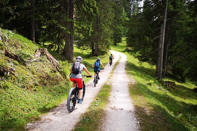 Guided e-bike tour of the alpine pastures in the Salzkammergut - What the e-bike can and cannot do