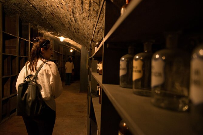 Historical Pharmacy Cellar Guided Tour - Why this Vienna pharmacy tour is different