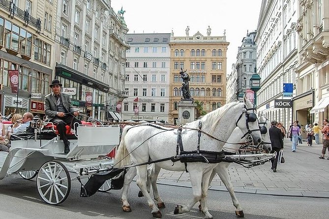 Hofburg Imperial Palace and Sisi Museum Skip the line tour - Meeting points require extra care