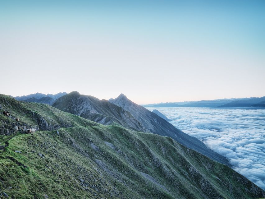 Innsbruck: Alpenzoo & Top of Innsbruck Combination Ticket - Hungerburg, the Handy Midway Stop