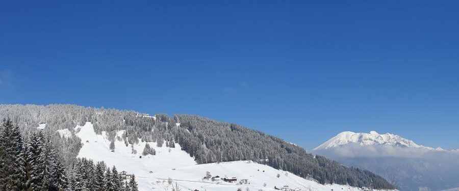 Innsbruck: Christmas Tour with a licensed guide - Nativity scenes in the Tyrolean tradition